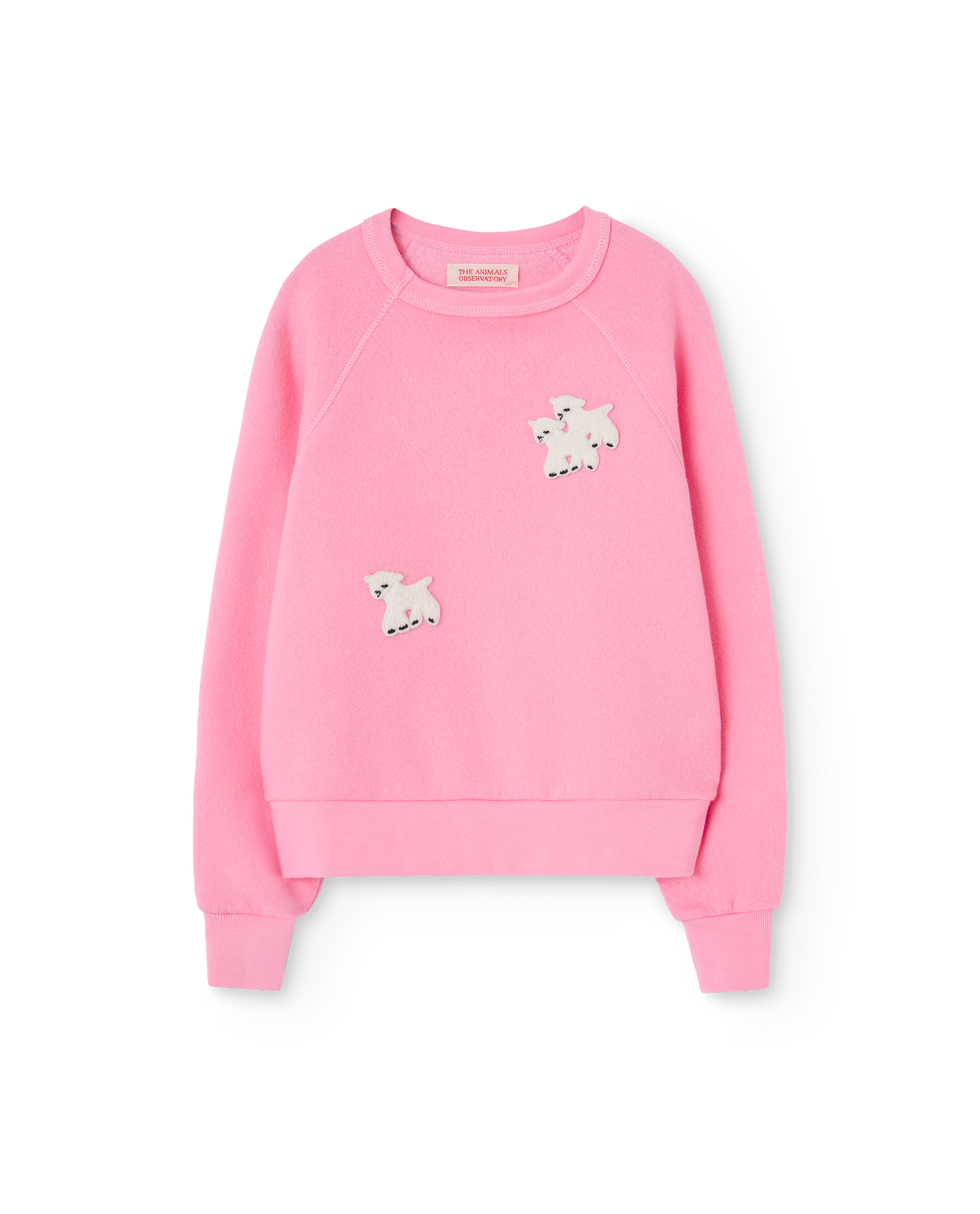 Shark Sweatshirt - Pink Sheeps