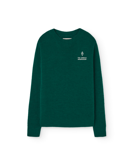 Bull Knit Sweater - Green