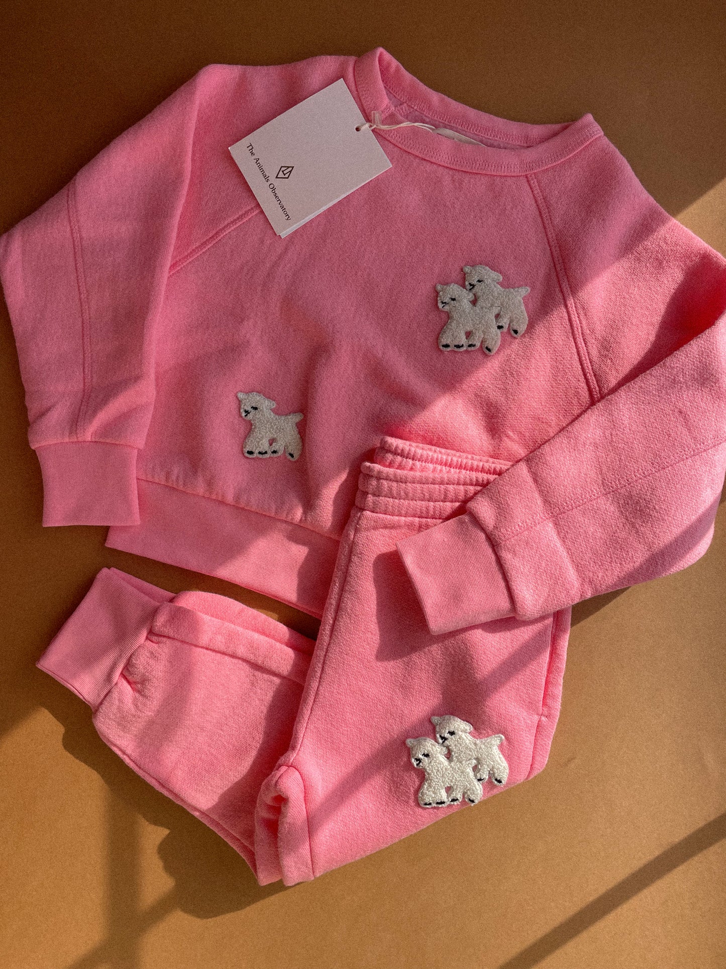 Shark Sweatshirt - Pink Sheeps