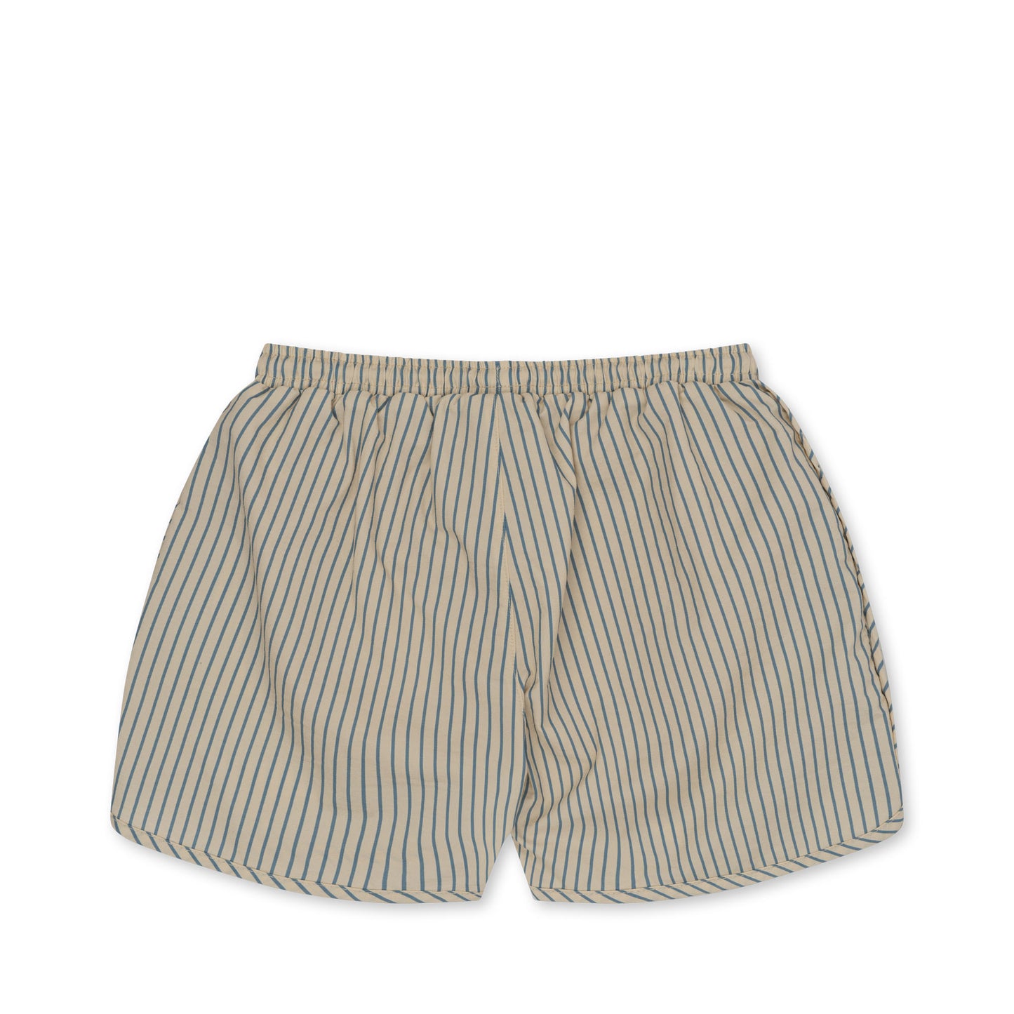 Asnou Swim Shorts - Blue Stripe